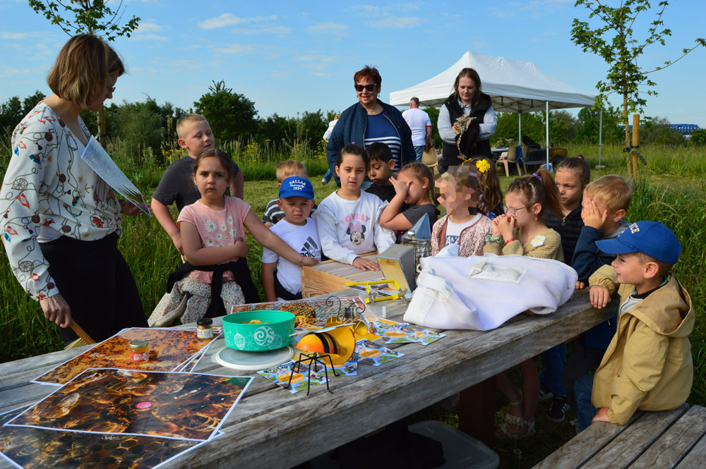 Butinons ensemble, journée des pollinisateurs